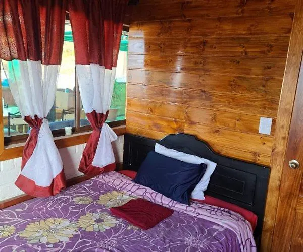 Vida Feliz Ec